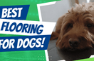 Best Flooring for Homes with Dogs