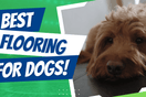 Best Flooring for Homes with Dogs