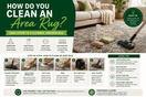 How Do You Clean an Area Rug? (Without Ruining It)
