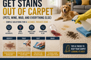 How to Get Stains Out of Carpet (Pets, Wine, Mud, and Everything Else)