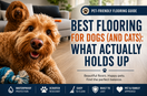 Best Flooring for Dogs (and Cats): What Actually Holds Up in a Busy Home