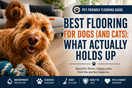 Best Flooring for Dogs (and Cats): What Actually Holds Up in a Busy Home