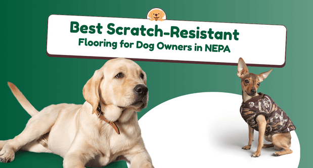 Best Scratch-Resistant Flooring for Dog Owners in NEPA