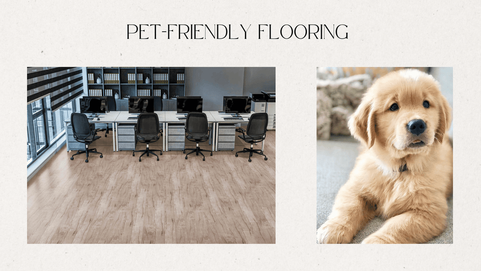 How to Choose Pet-Friendly Flooring in Scranton & Wilkes-Barre