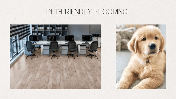 How to Choose Pet-Friendly Flooring in Scranton & Wilkes-Barre