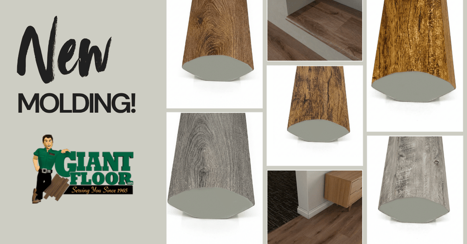 Introducing New Molding Colors at Giant Floor