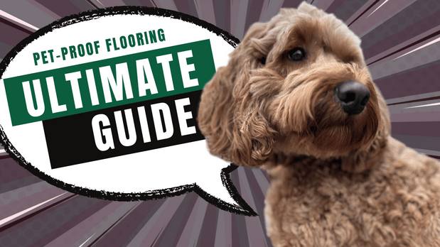 The Ultimate Guide to Pet-Proof Flooring for Busy Homes