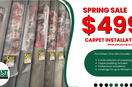 The $499 Carpet Installation Special