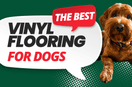 Need Help Choosing Flooring For Your Dogs?