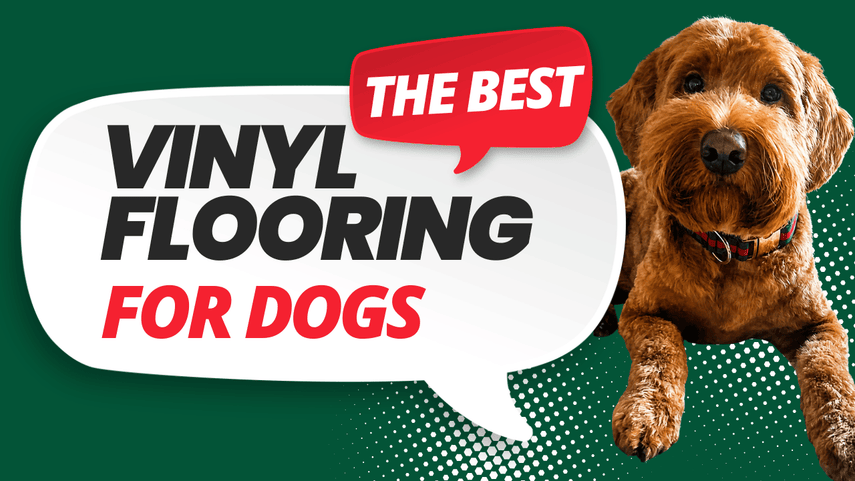 Need Help Choosing Flooring For Your Dogs?