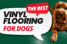 Need Help Choosing Flooring For Your Dogs?