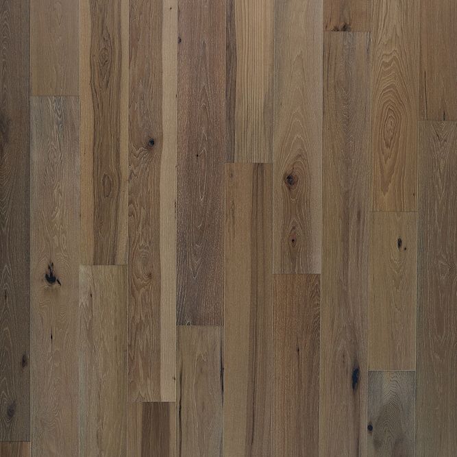 Cambridge Courts | BelleLuxe Natural
