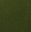 GV Grass Giant Green