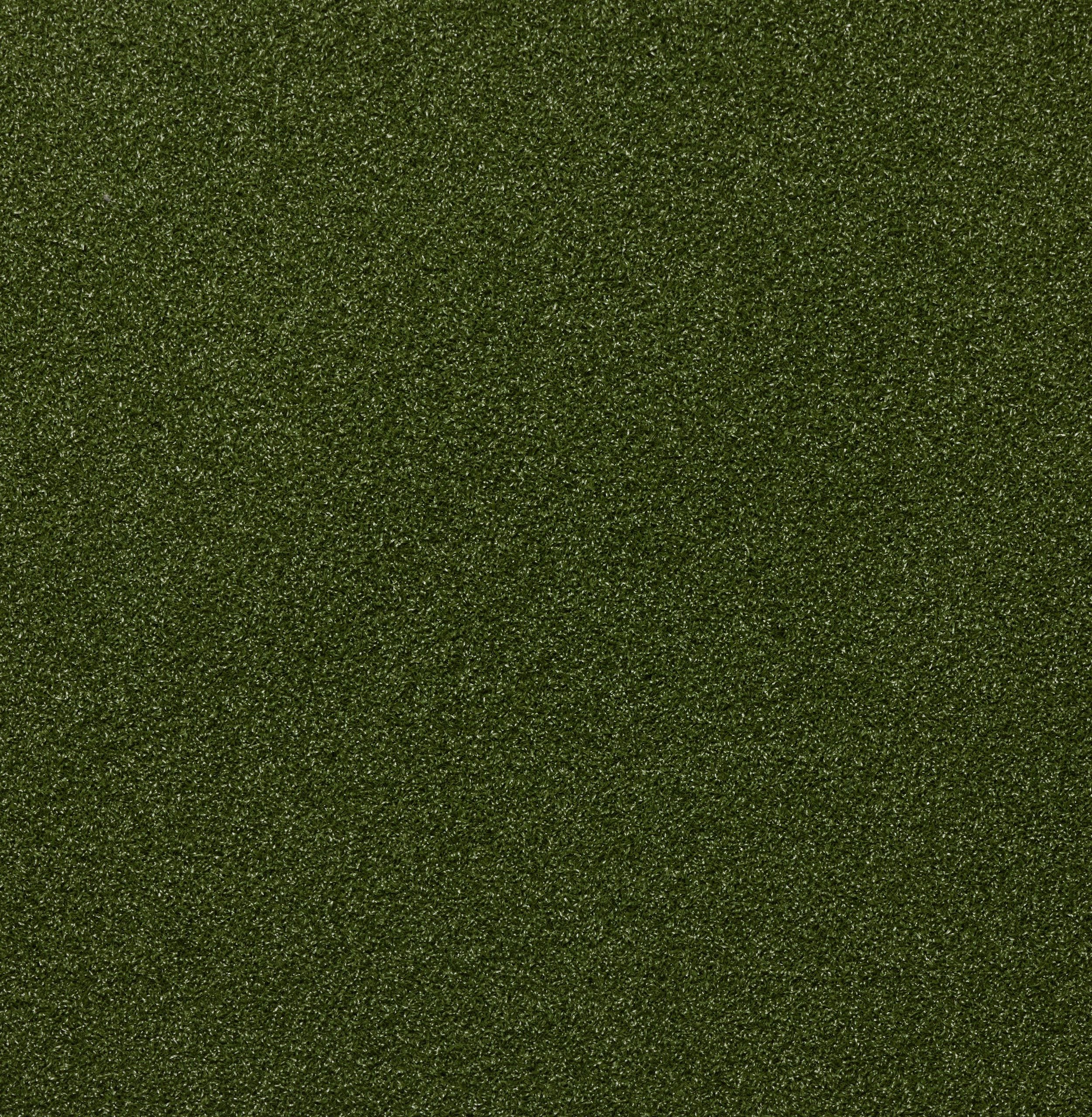 GV Grass Giant Green