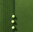 GV Grass Giant Green