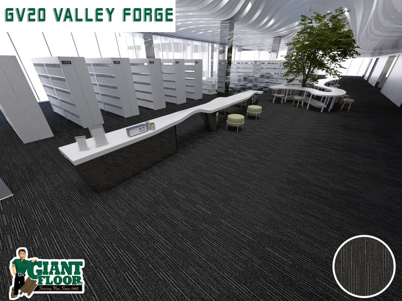 GV20 Valley Forge
