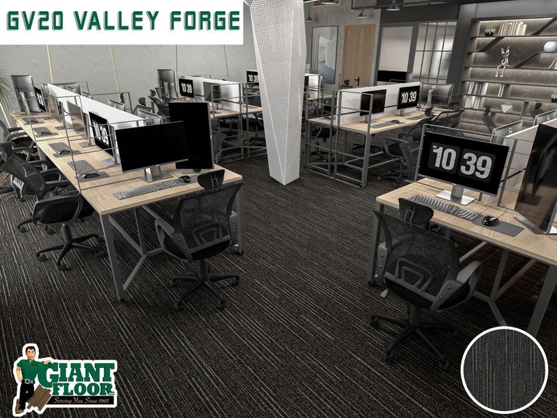 GV20 Valley Forge